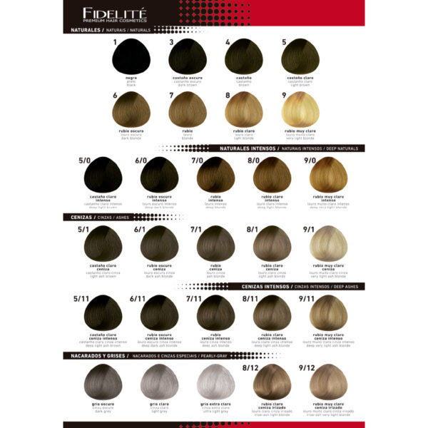 CARTA DE COLORES COLOR MASTER 108 TONOS REGULARES + 6 COLOR EXPRESS - FIDELITE